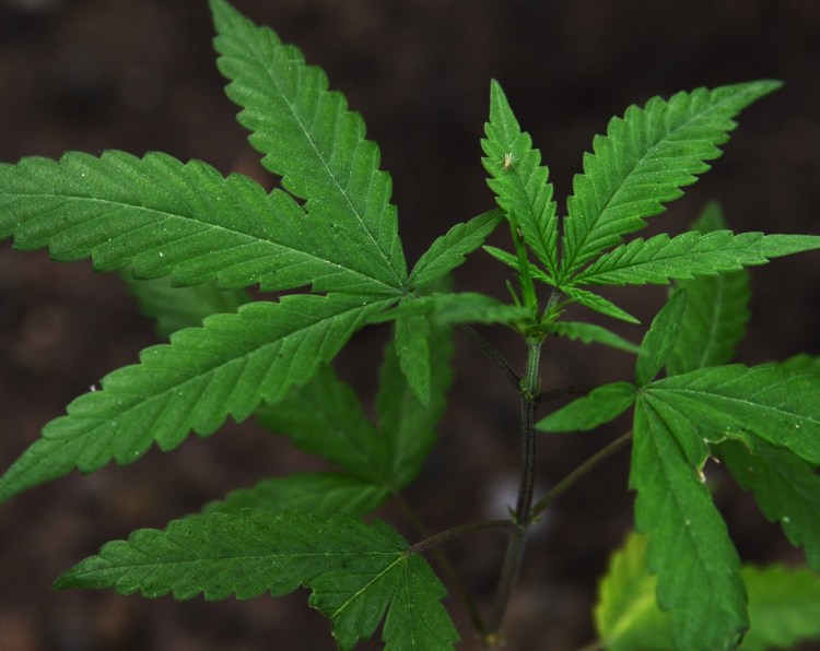 67B8CC11-F07E-41D6-8050-0686E0F5BB5A