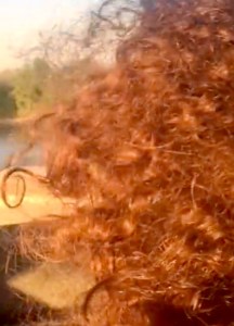 A22D7B59-86E1-4EDF-8B24-E821DB881C0B