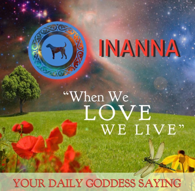 B431F10A-77BB-41AF-AAD9-40DA63BE2711