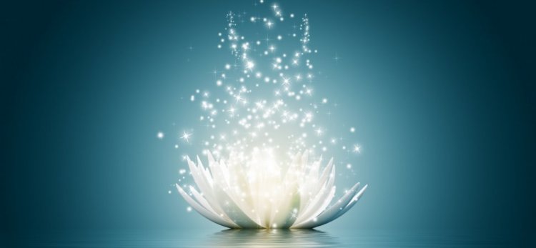 E81588A5-8D20-4702-9597-A8594CAFA2C5