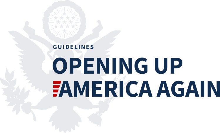 4482EDD7-1737-41E7-A018-A5ACF15502A9